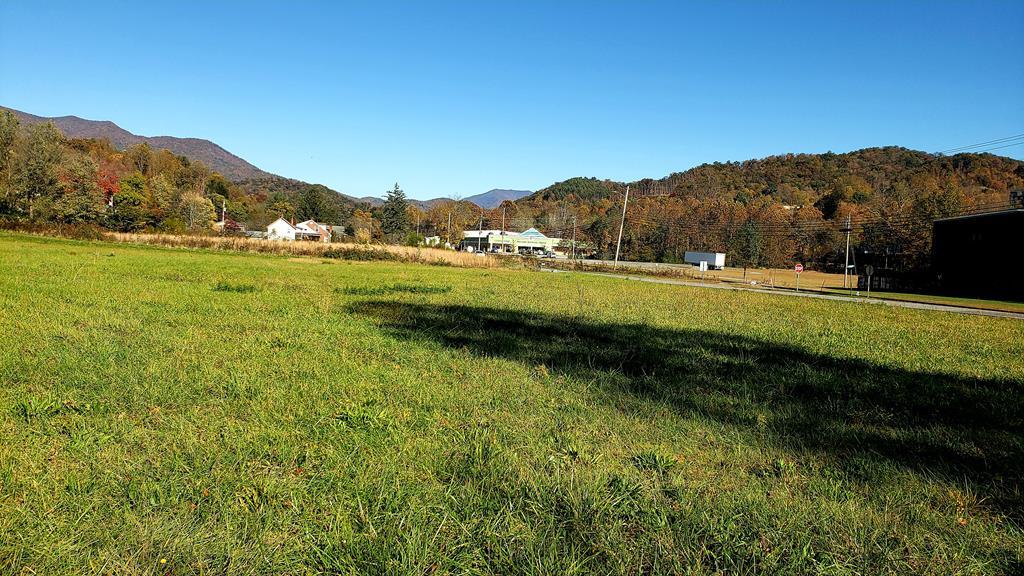 TBD Allens Branch And Skyland Drive - Photo 1