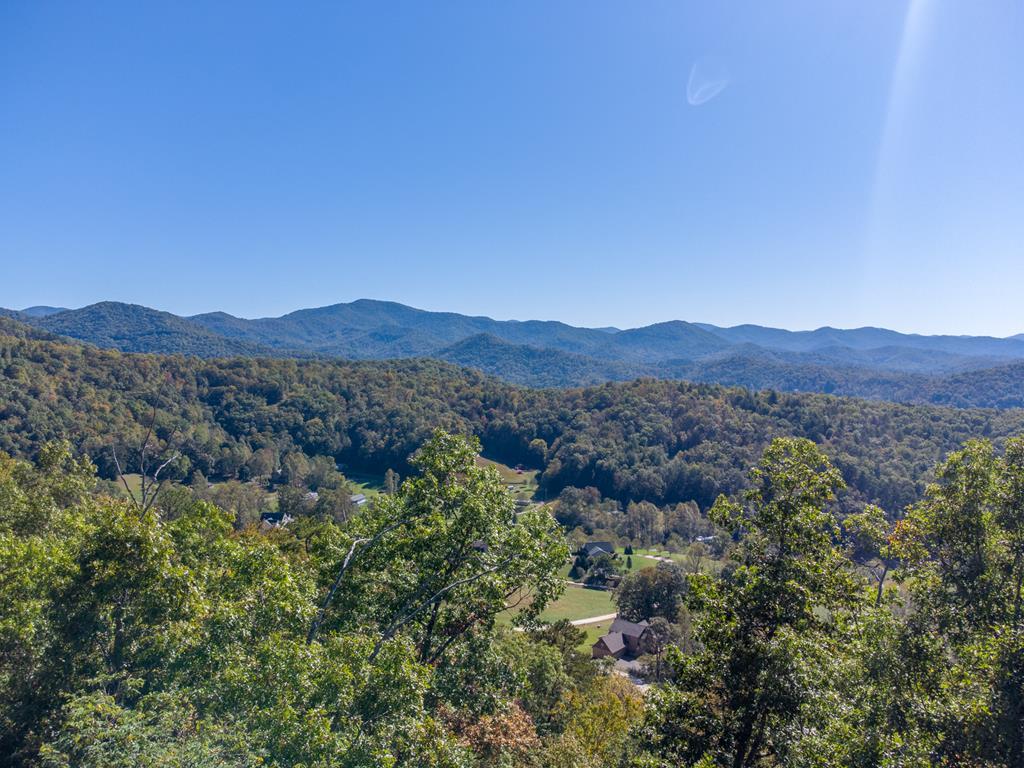 UPPER Buck Mountain Road - Photo 1