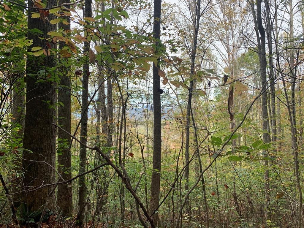 TBD Sapahaw Trail - Photo 1