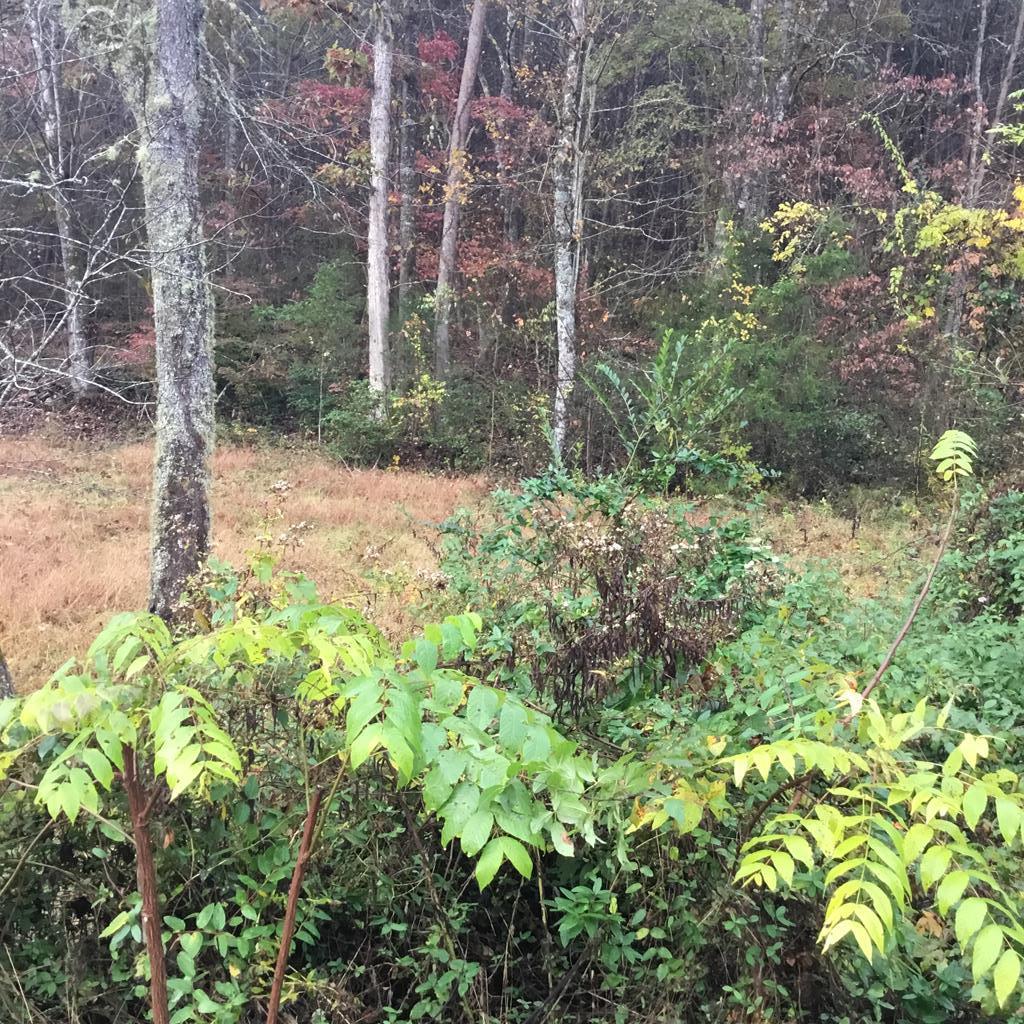 00 Paul Cooper Rd - Photo 1