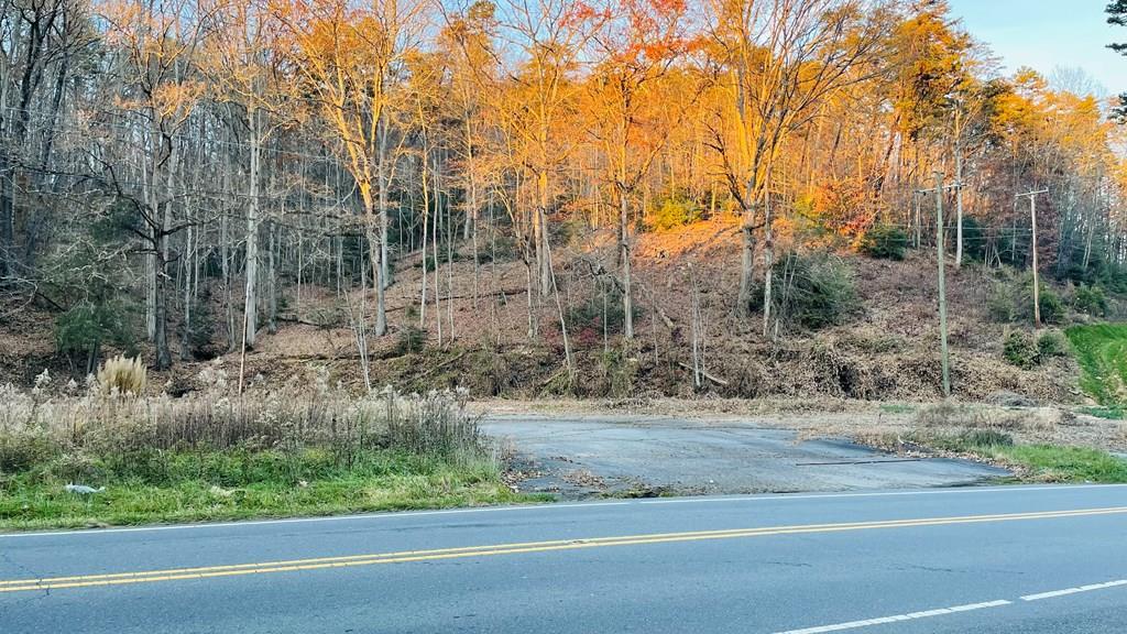 _ 6205 Ela Rd - Photo 1