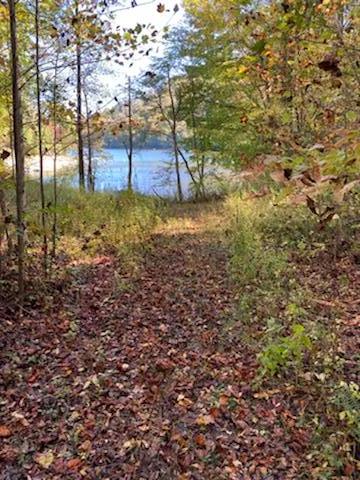 B1 and C Indian Lake Rd - Photo 1