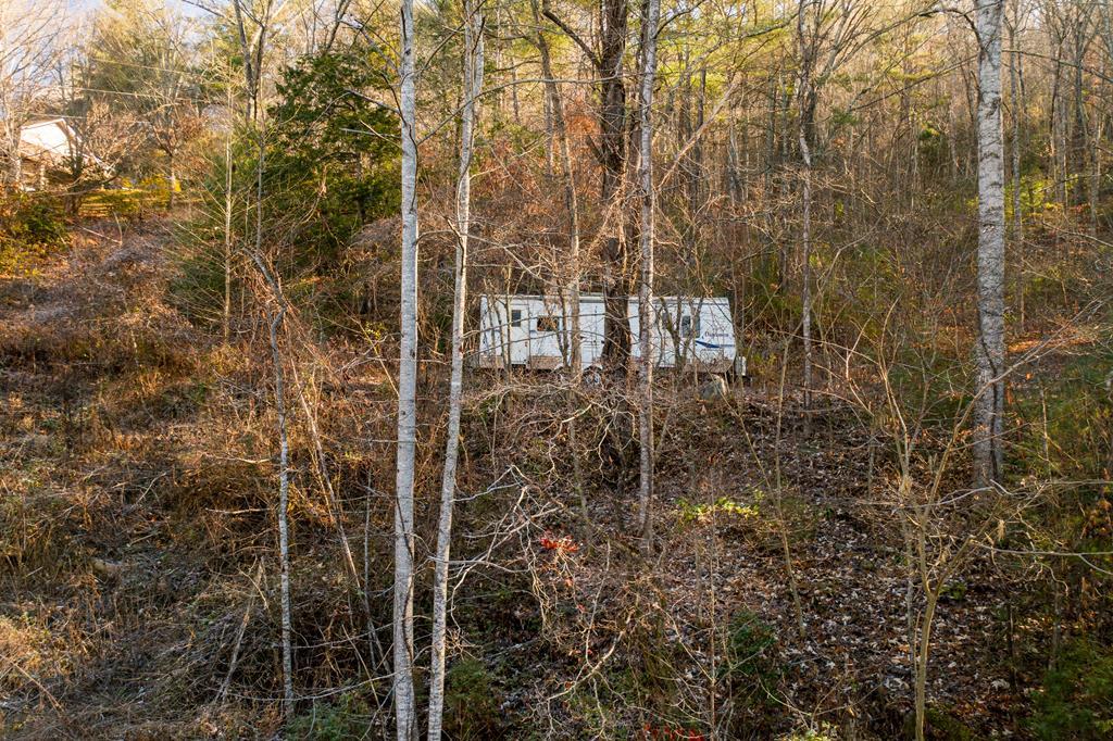 213 Dairy View Road - Photo 1