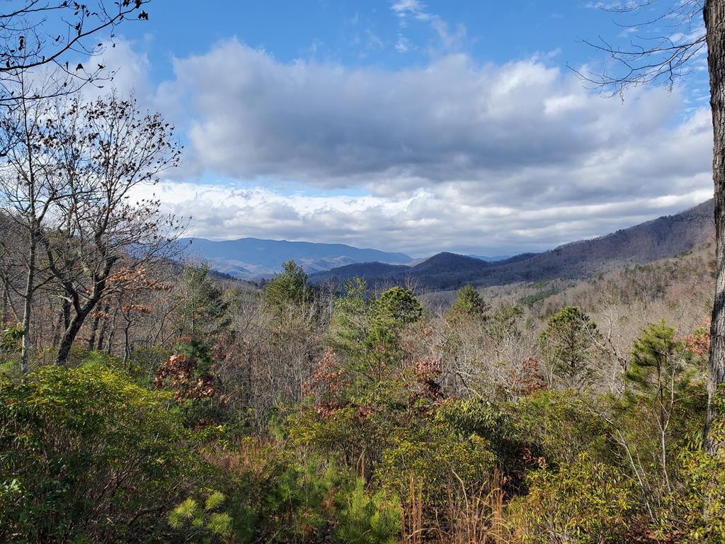 Lot 9 Cliff View Drive - Photo 1