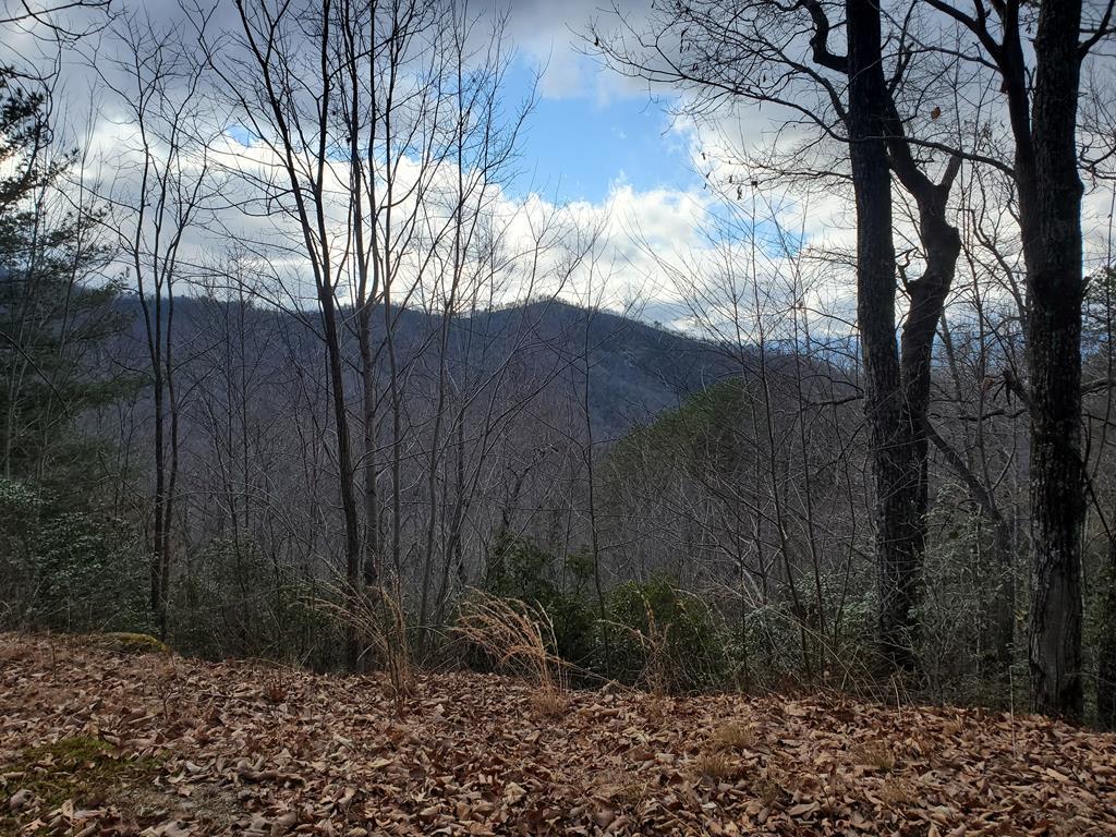 Lot 12 Cliff View Drive - Photo 1