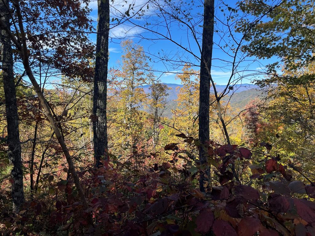 LOT 49 Wildcat Knob - Photo 1