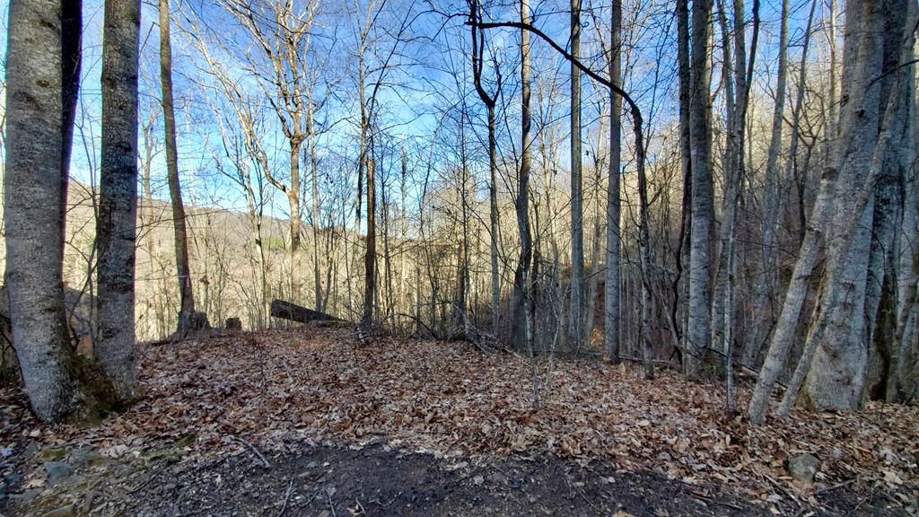 21 River Ridge Parkway - Photo 1