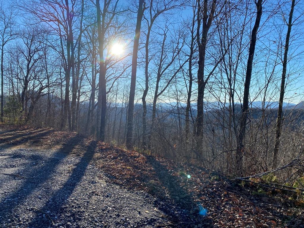 0 Hickory Nut Trail - Photo 1