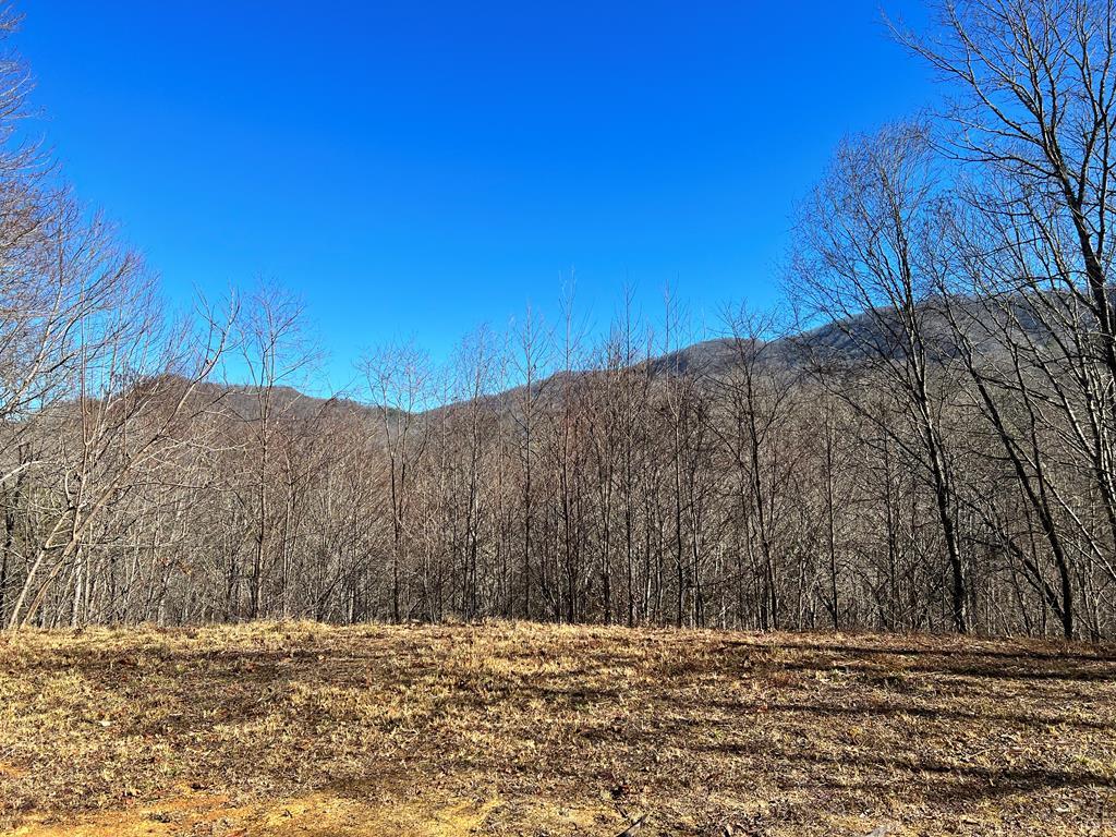359 Loon Ln - Photo 1