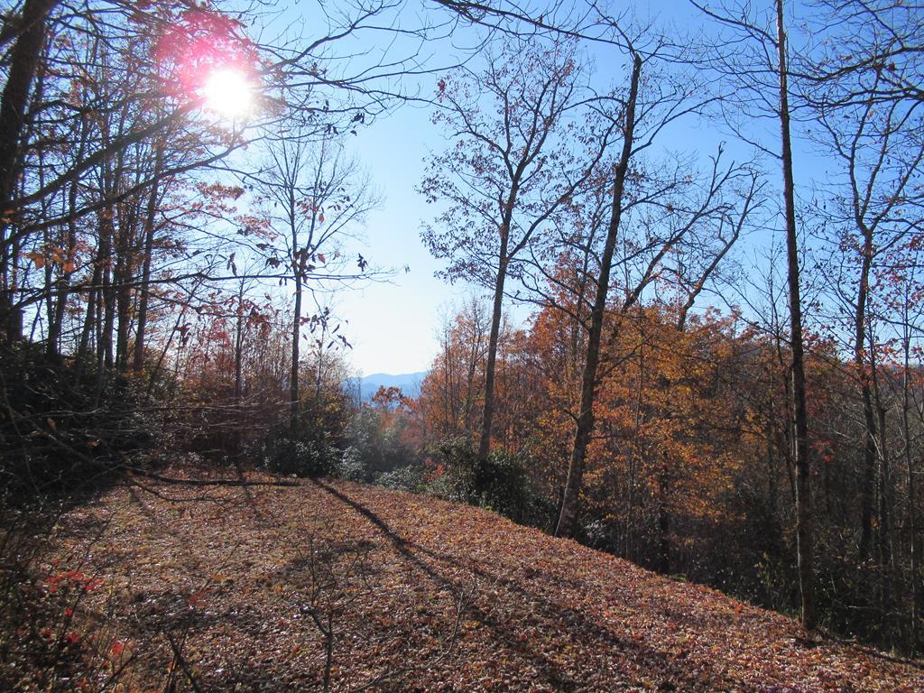 00 Jim Cochran Rd - Photo 1
