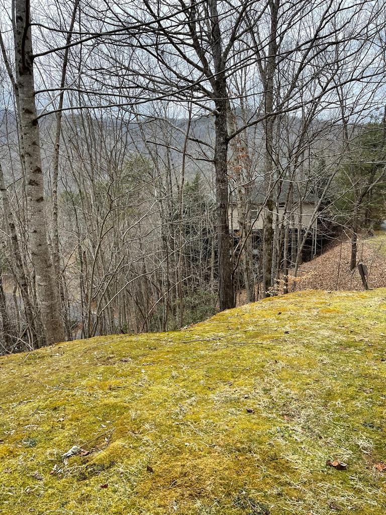 0 0 Country Club Drive - Photo 1