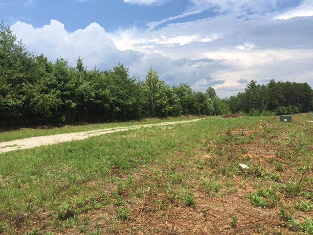 Lot 2 Siler Road - Photo 1
