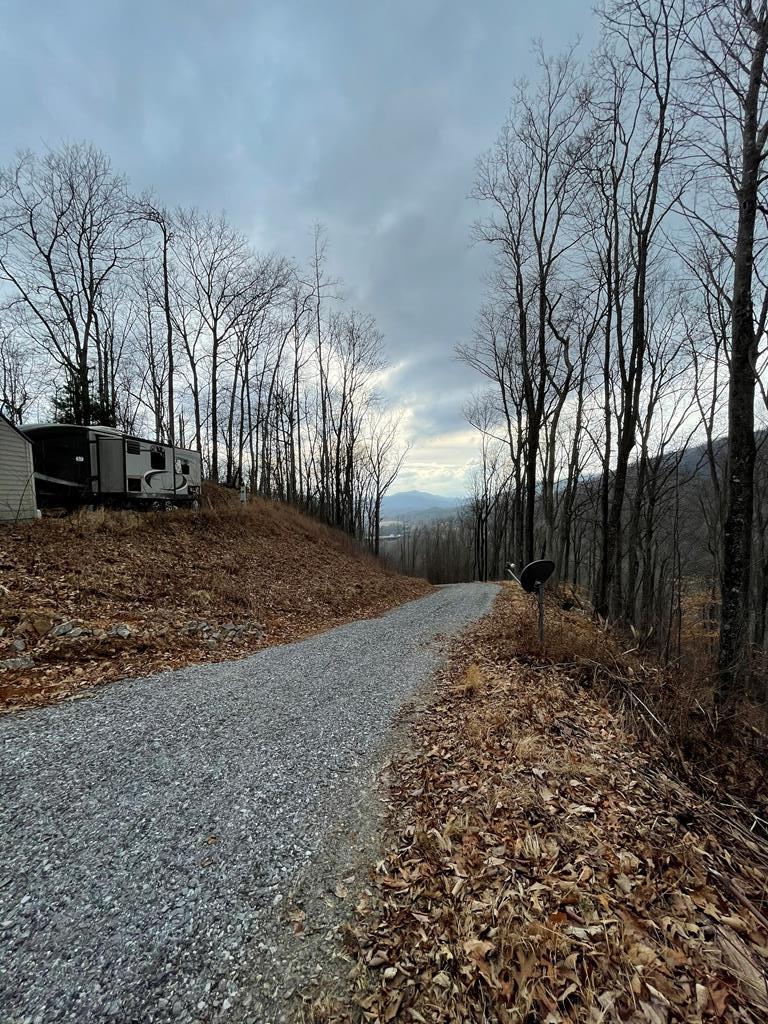37 Logan Creek Lane - Photo 1