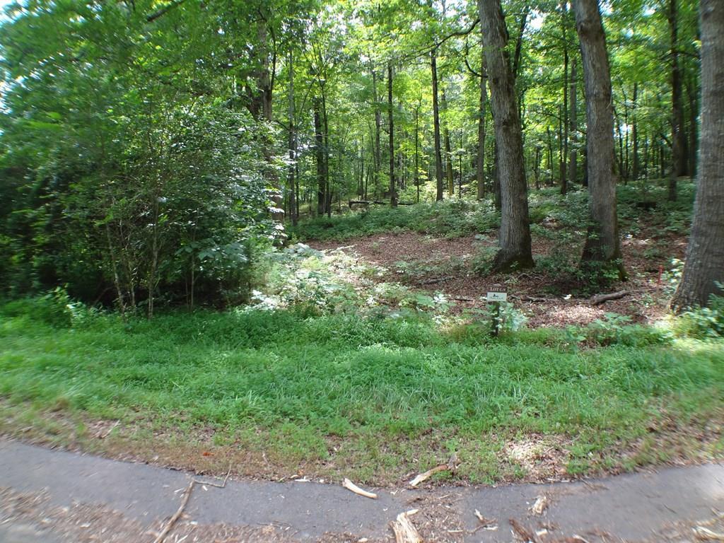 C 9 Cottage View Road - Photo 1