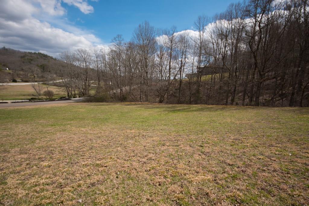 Lot 11 Falls At Willowbrook - Photo 1