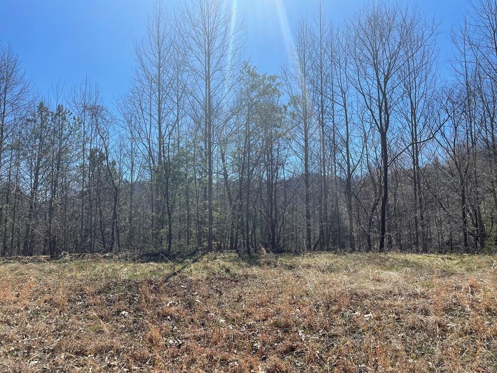 000 Morgans Ridge - Photo 1
