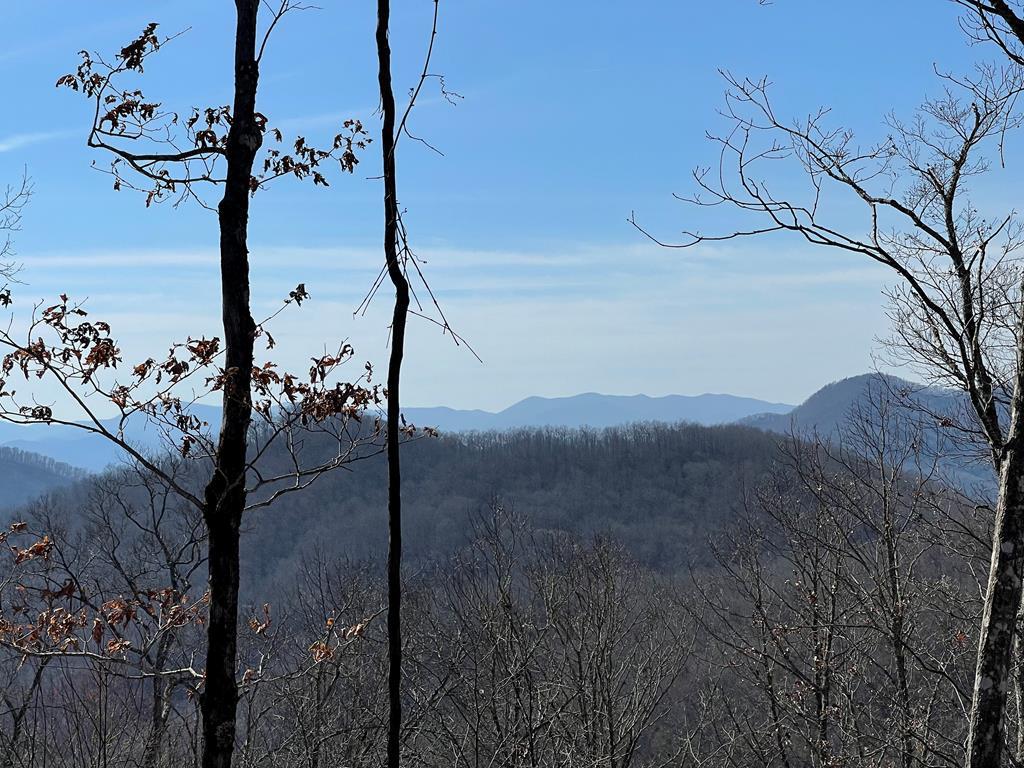 Lot 64 Hickory Nut Trail - Photo 1