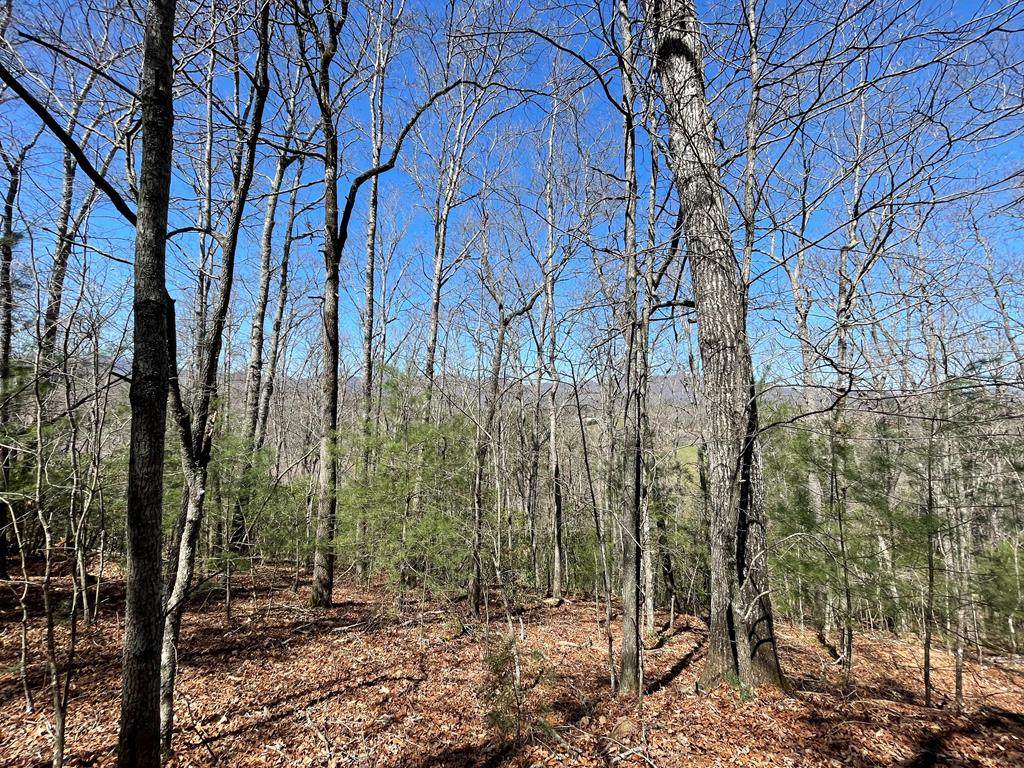 0 N Blaine Branch Rd - Photo 1