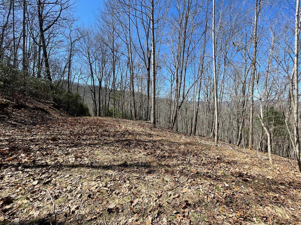 0 Potts Branch Rd - Photo 1