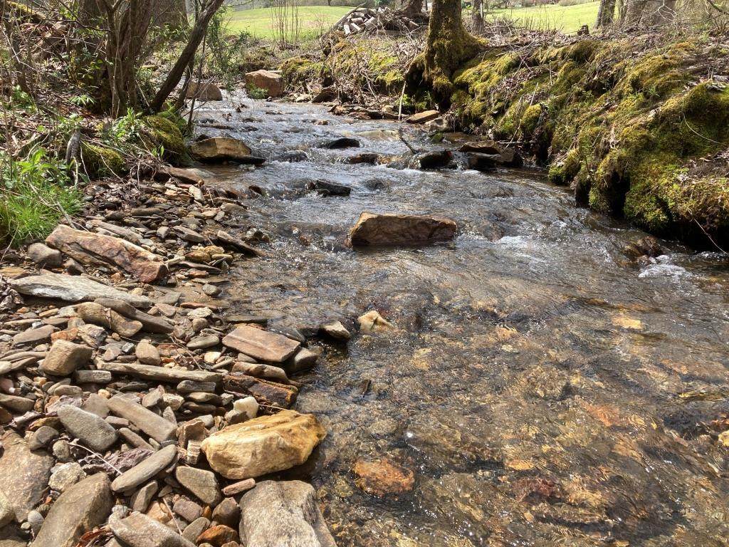 000 Nations Creek Rd - Photo 1