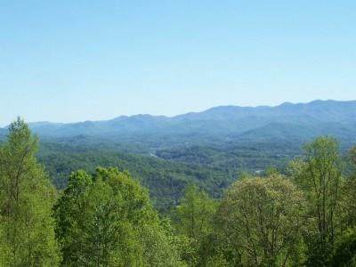 52 Chinquapin Heights Rd - Photo 1