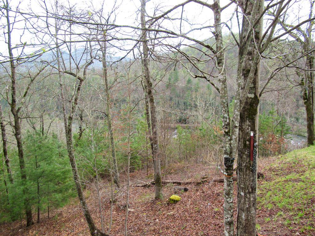 00 Big River Dr - Photo 1