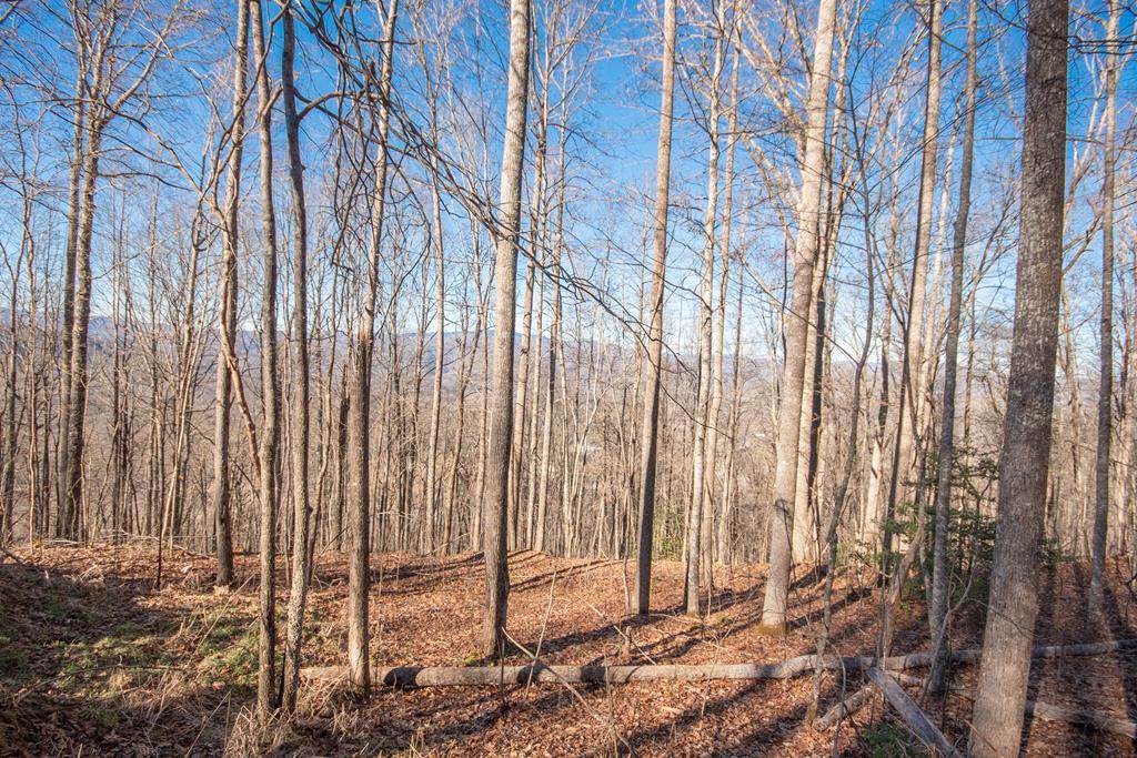 00 Amelia's Bluff - Photo 1