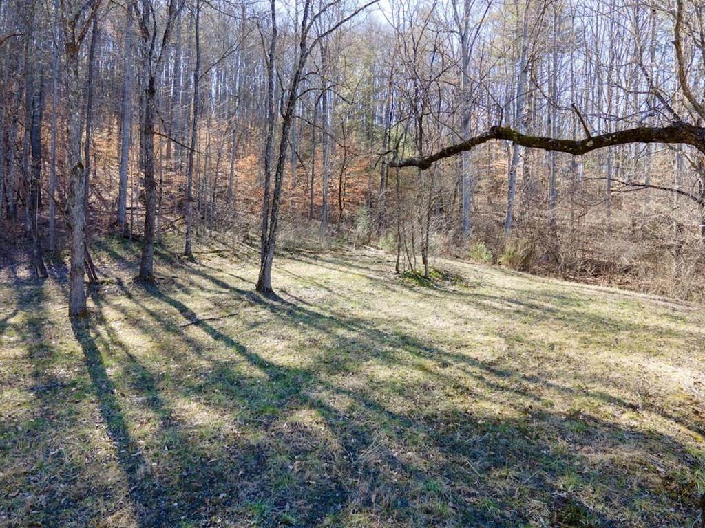 120 Maxwell Home Road - Photo 1