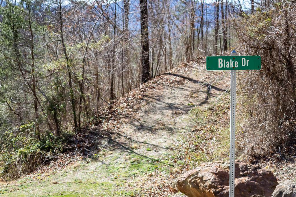 1 Blake - Photo 1