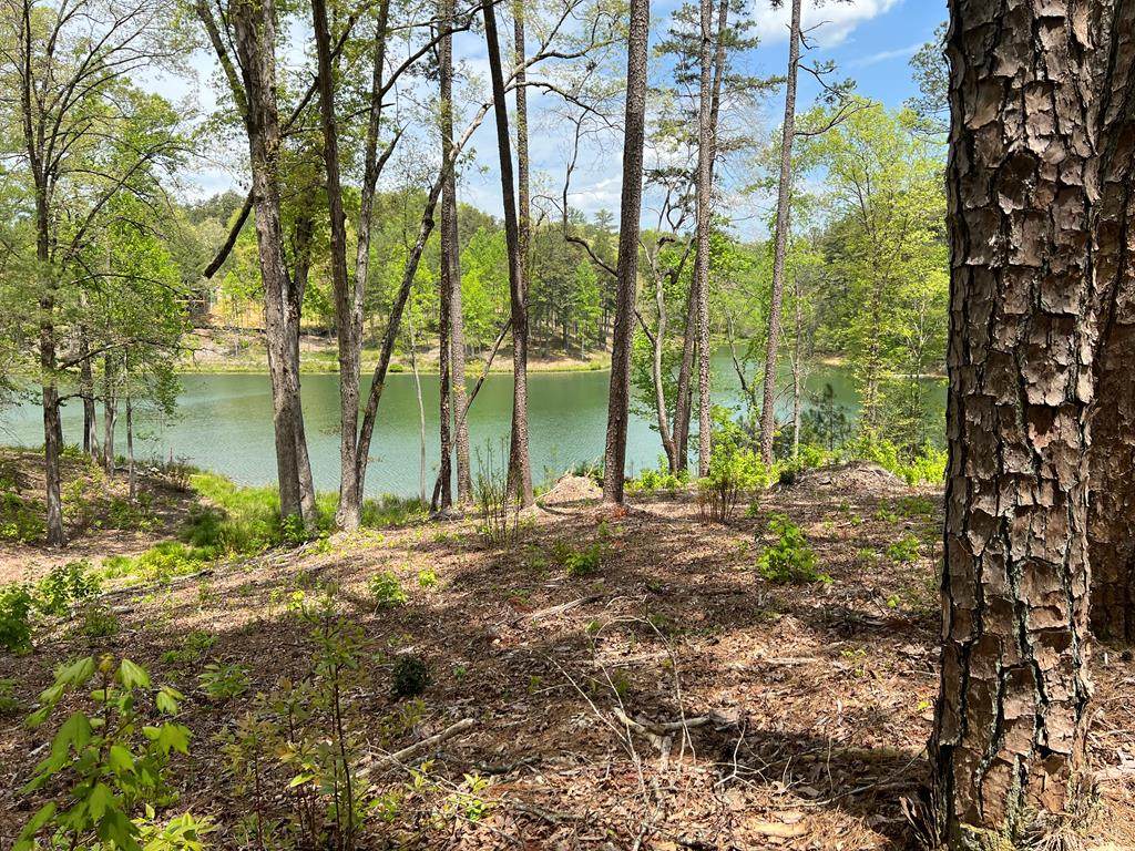 00 Pinnacle Drive - Photo 1