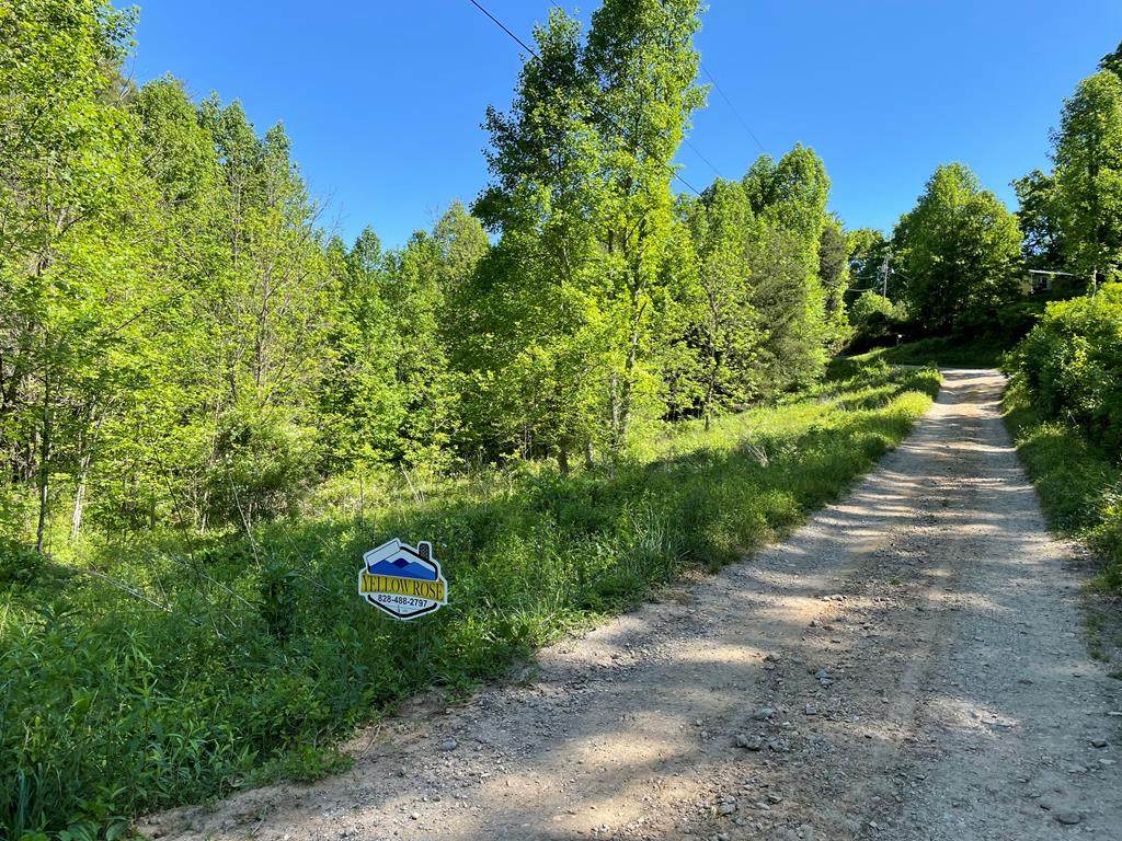 00 Troy Martin Rd - Photo 1