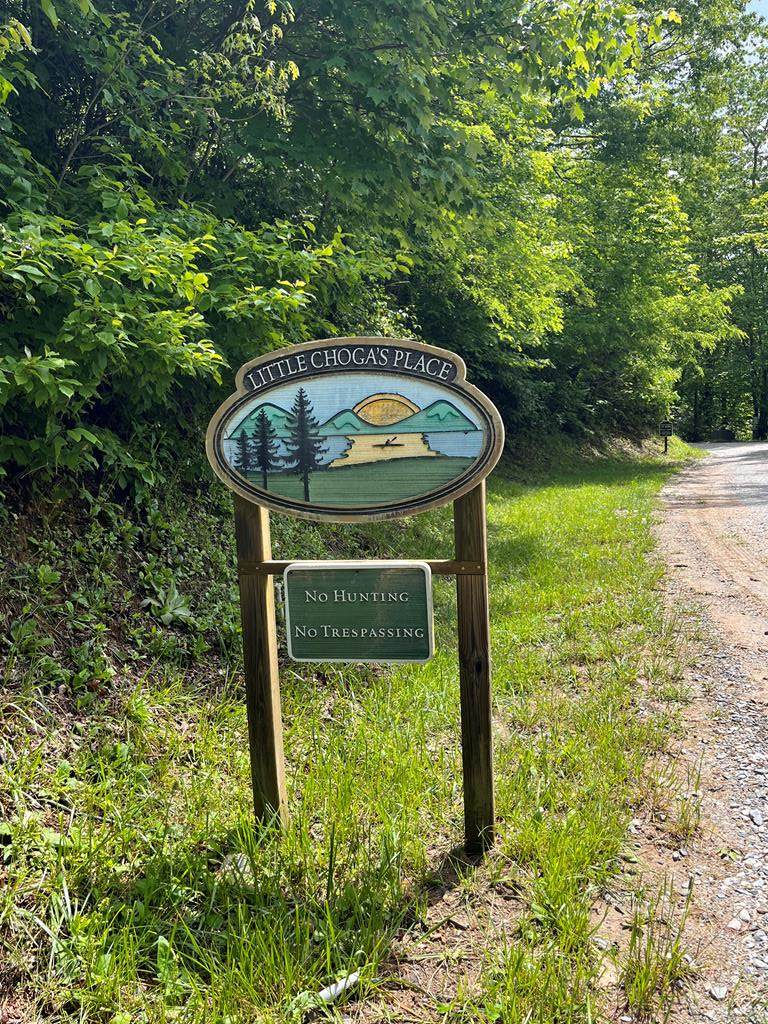 Lot 51 Indian Lake Rd - Photo 1
