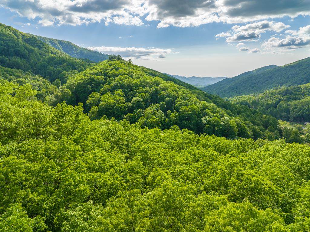 7016 Yellow Creek Road - Photo 1