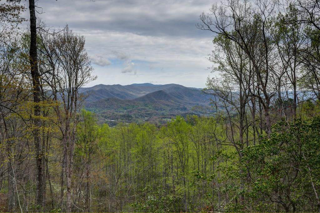 Lot 3 Bryson Gap Preserve - Photo 1