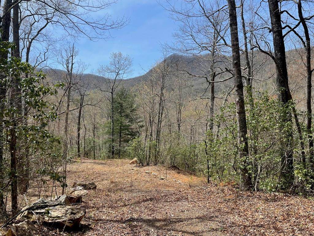 0 Big Oak Springs - Photo 1