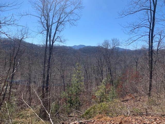 0 Windsong Mountain Drive - Photo 1