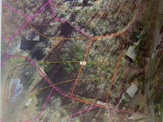 Lot 10 Luftee Lake Rd - Photo 1