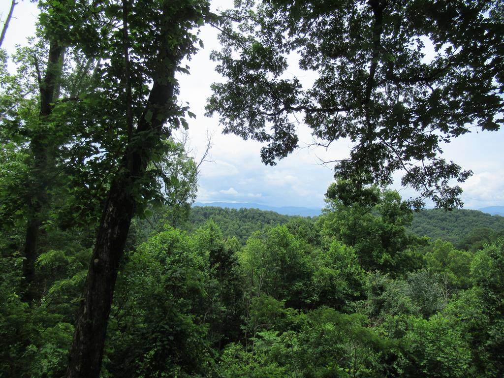 Lot 2 Berry Cove Rd - Photo 1