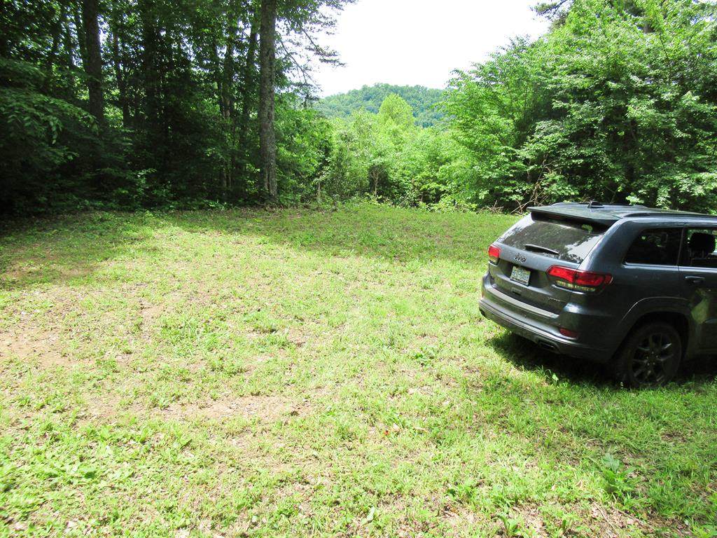 Lot 3 Berry Cove Rd - Photo 1