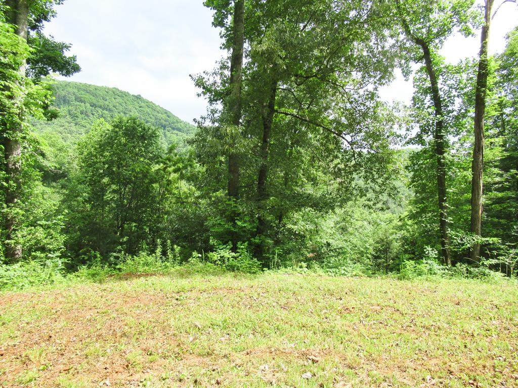 Lot 8 Berry Cove Rd - Photo 1