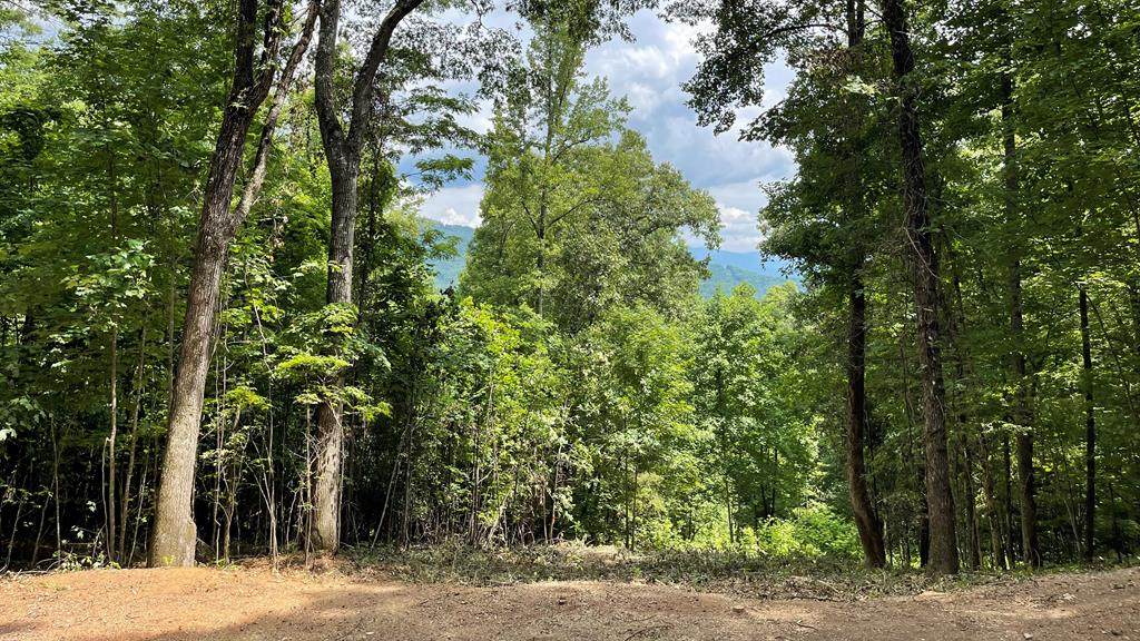 Lot 36 Red Oak Rd - Photo 1