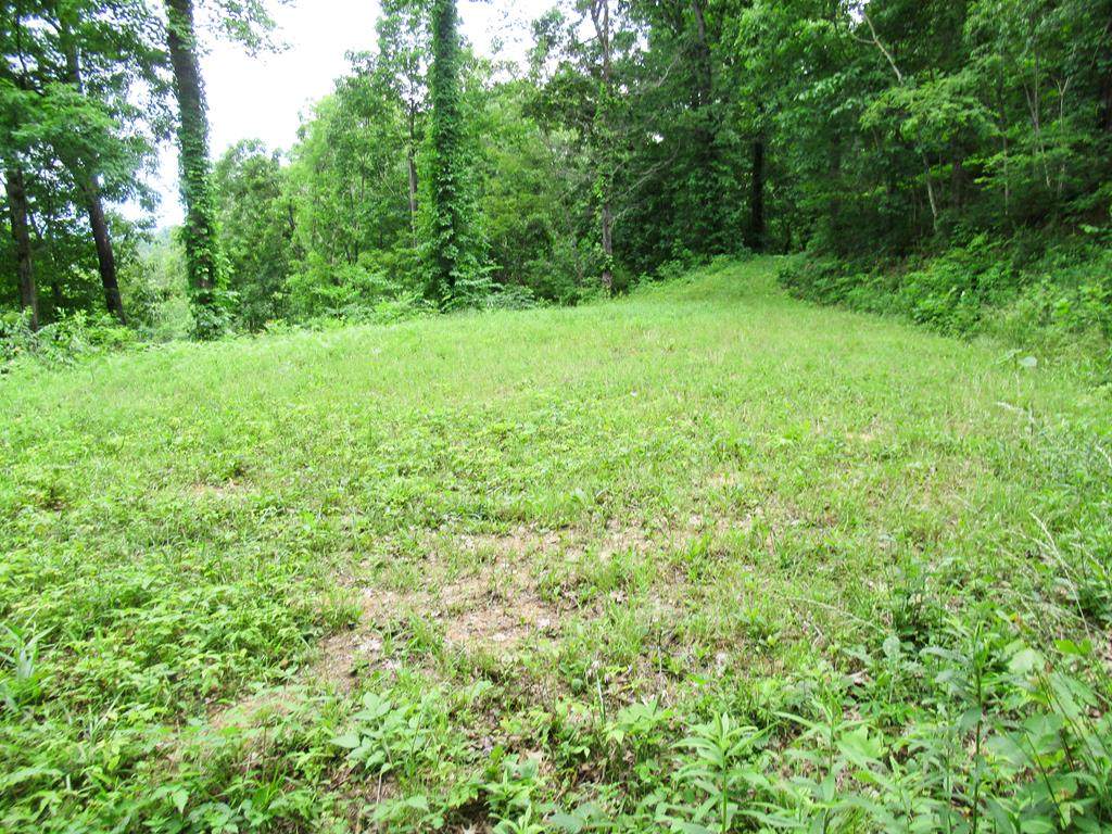 Lot 11 Berry Cove Rd - Photo 1