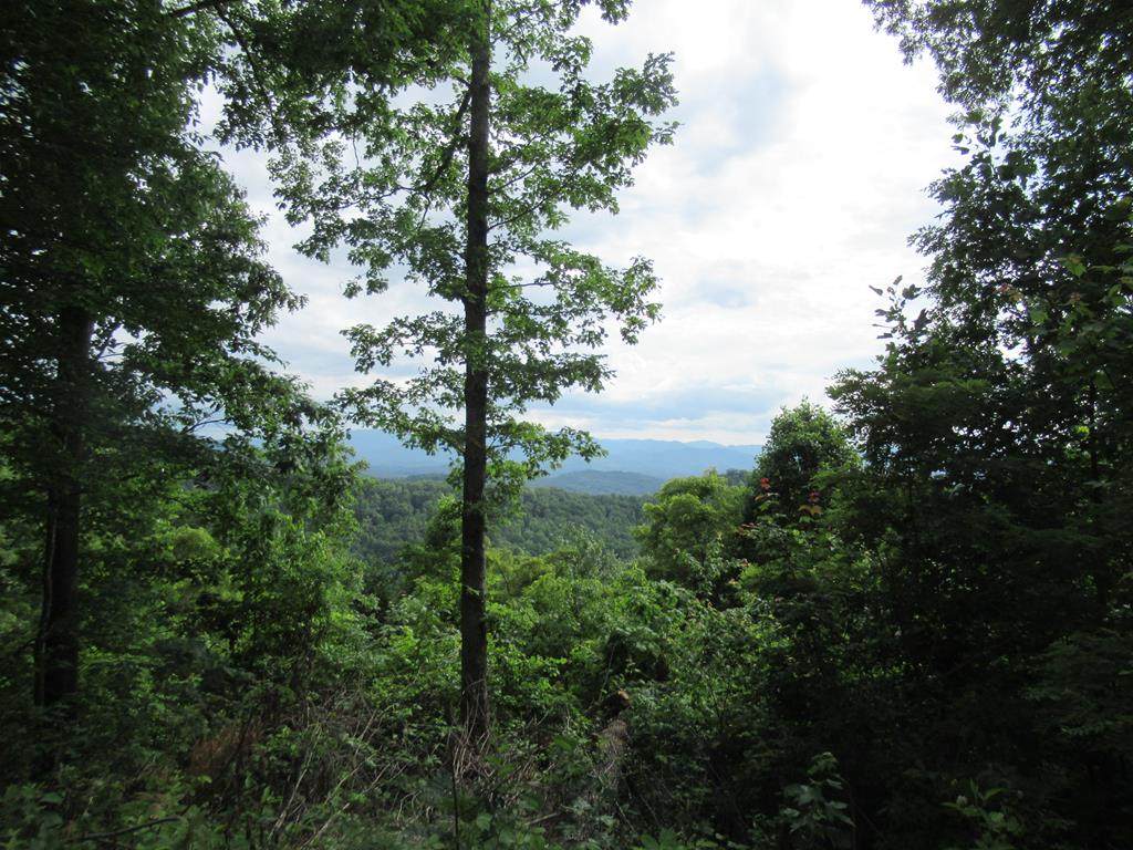 Lot 13 Berry Cove Rd - Photo 1