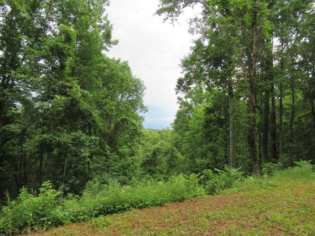 Lot 16 Berry Cove Rd - Photo 1