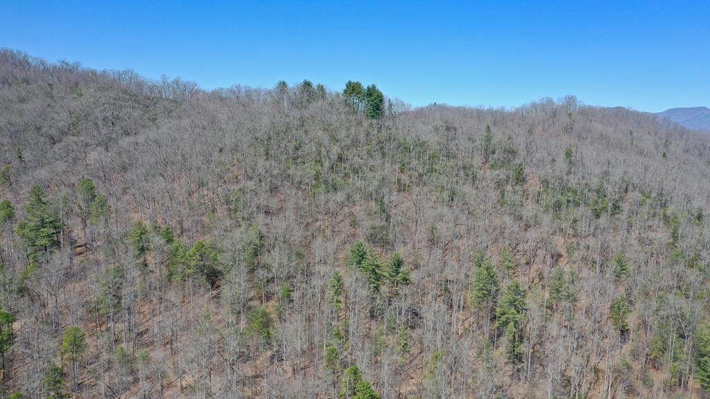 31 Greenbrier Drive - Photo 1