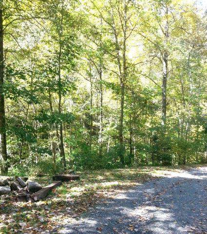 00 Dicks Creek Rd - Photo 1