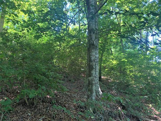 Lot 11 Cottage View Drive - Photo 1