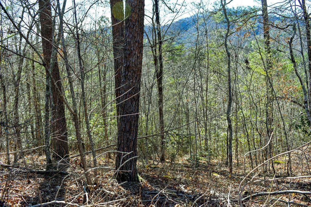 Lot 8A West Ridge Dr - Photo 1
