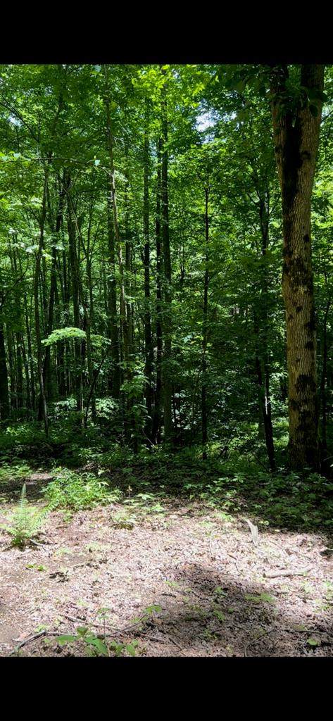 0 E Silvermine - Photo 1