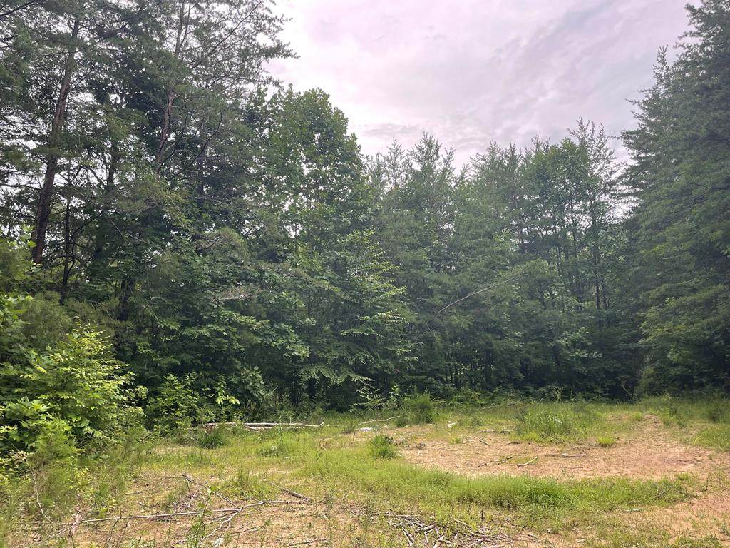 0 Cloer Rd - Photo 1